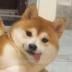 Avatar de Diego Ramos